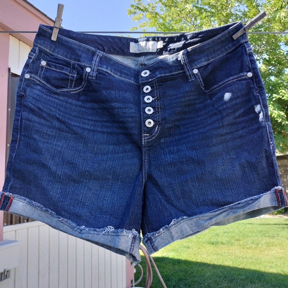 Torrid shorts